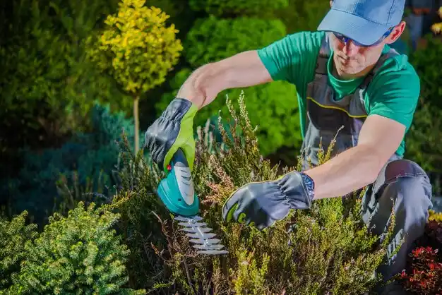 landscaping services Byrnes Mill